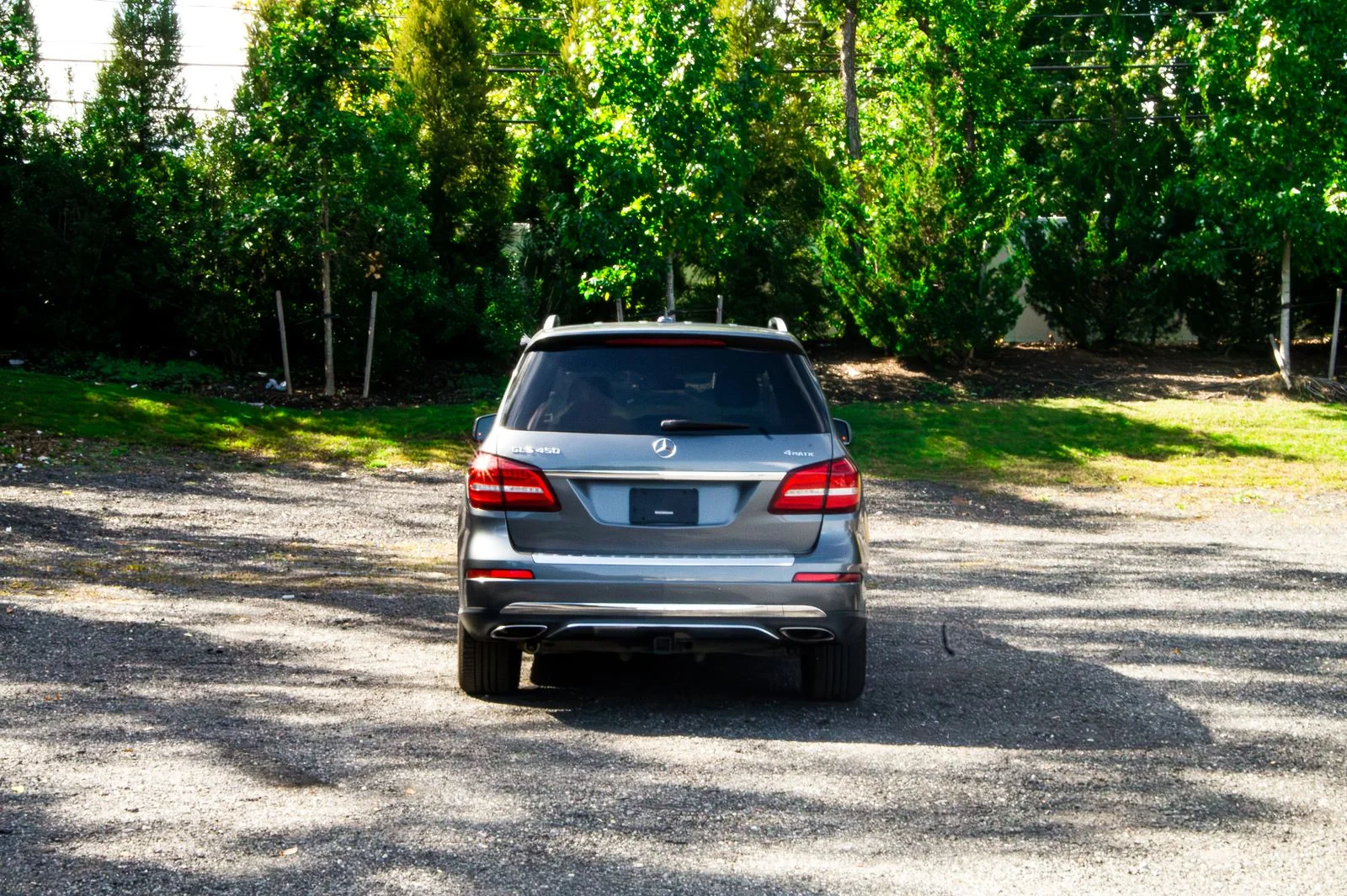 2019 Mercedes-Benz GLS-Class GLS450 - Photo 7
