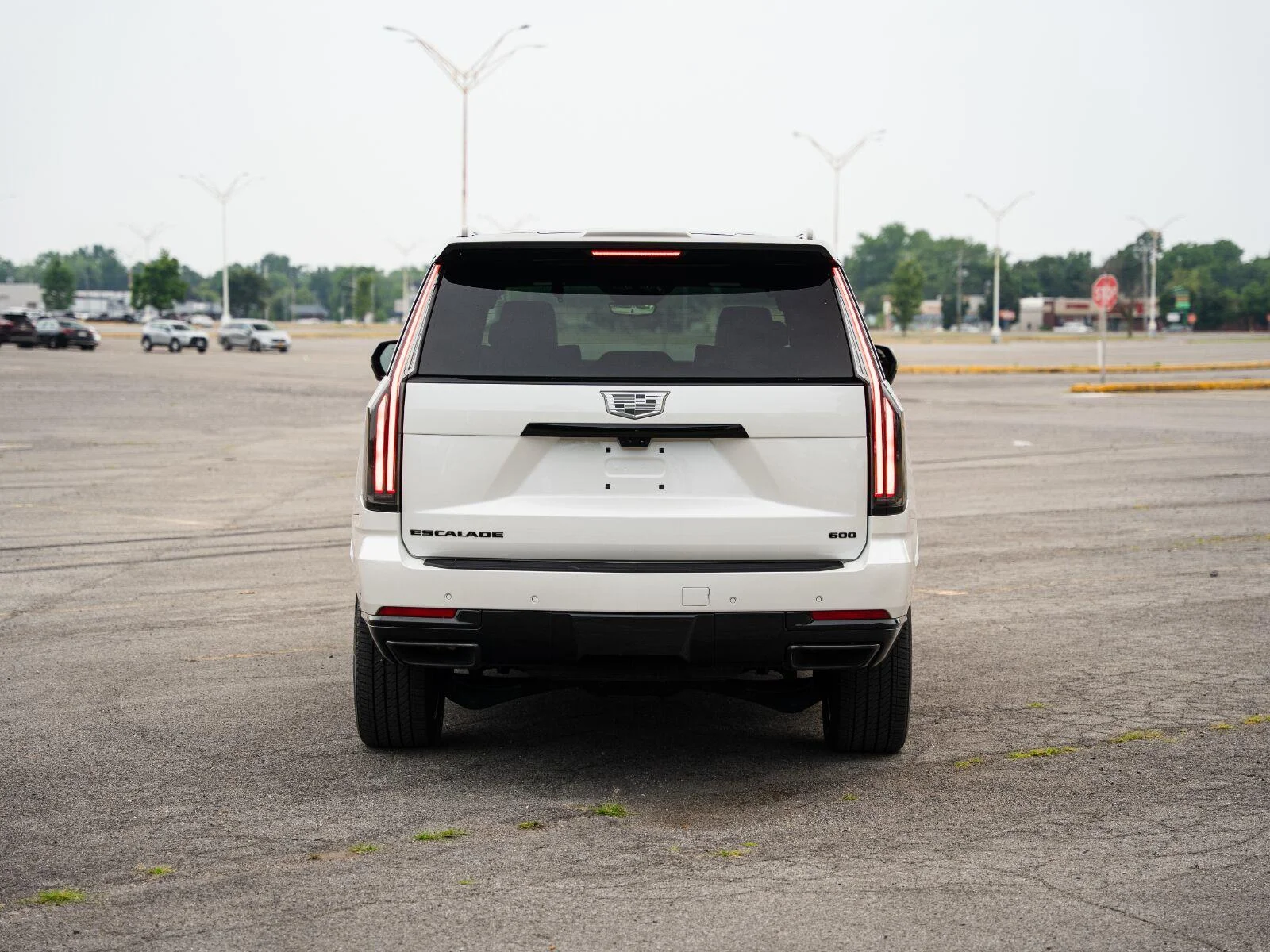 Used 2025 Crystal White Tricoat Cadillac Sport image 7
