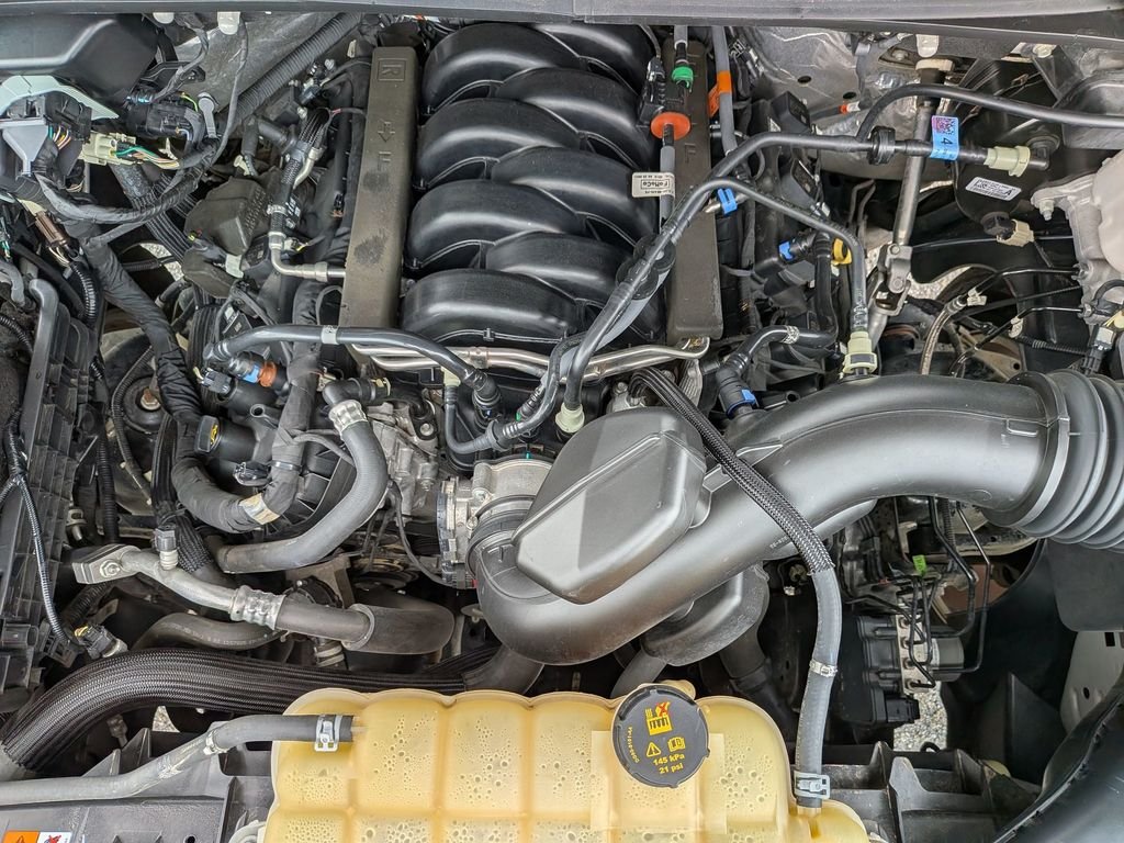 Used 2019 Green Ford XLT image 12