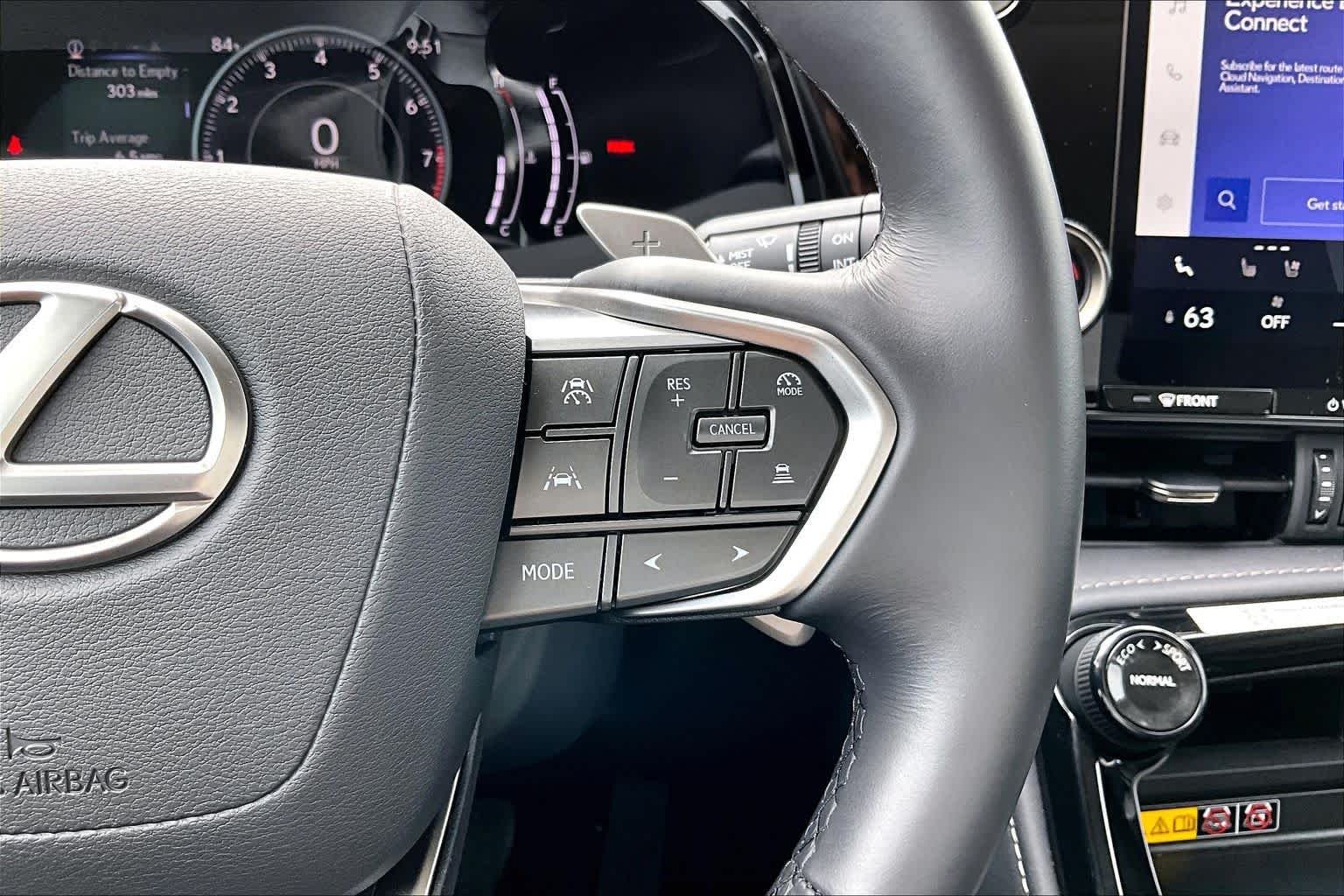 Used 2025 Cloudburst Gray Lexus Premium image 25