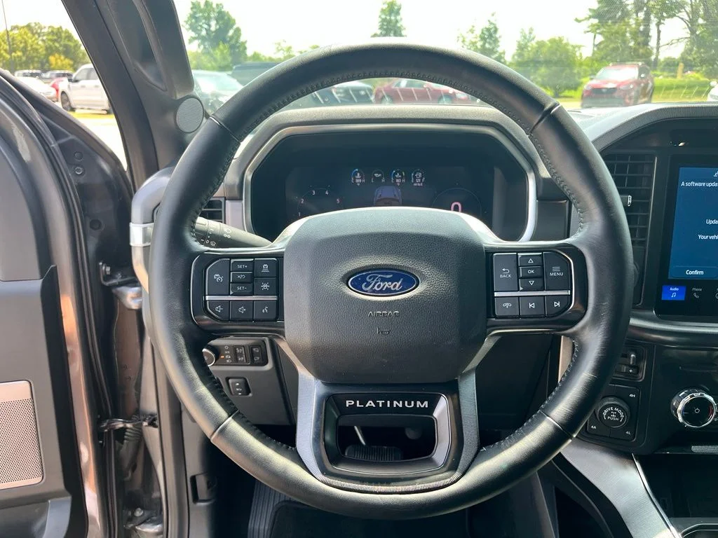 Used 2025 Gray Ford Platinum image 17