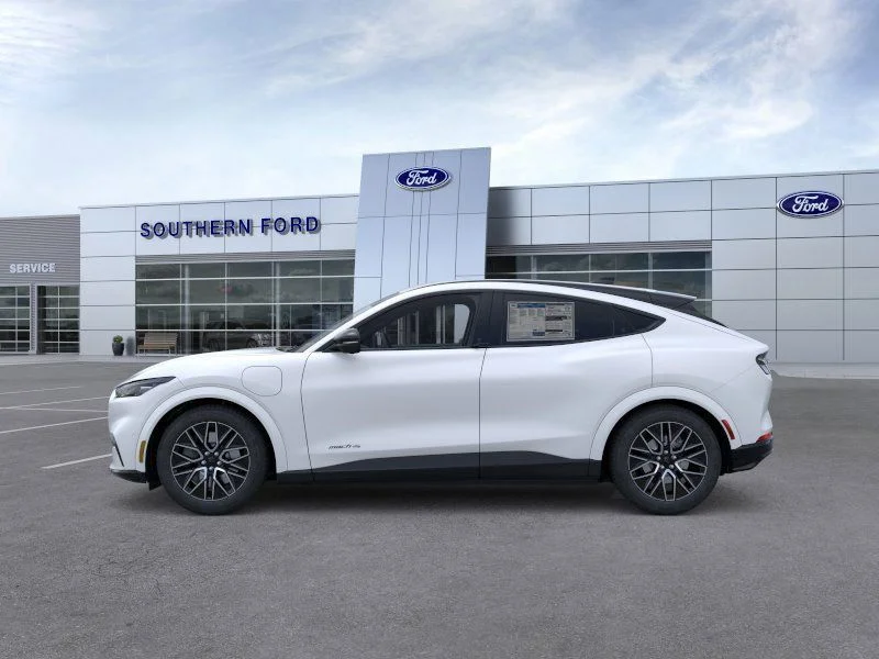 New 2025 White Ford Premium image 3