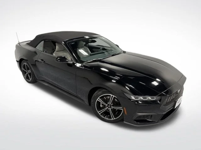 Used 2024 Black Ford EcoBoost Premium image 36