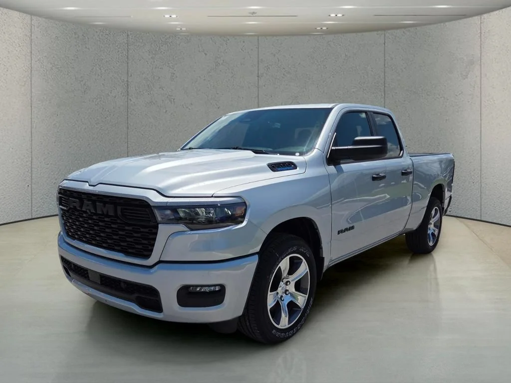 New 2026 Silver Zynith Exterior Paint RAM Express image 11