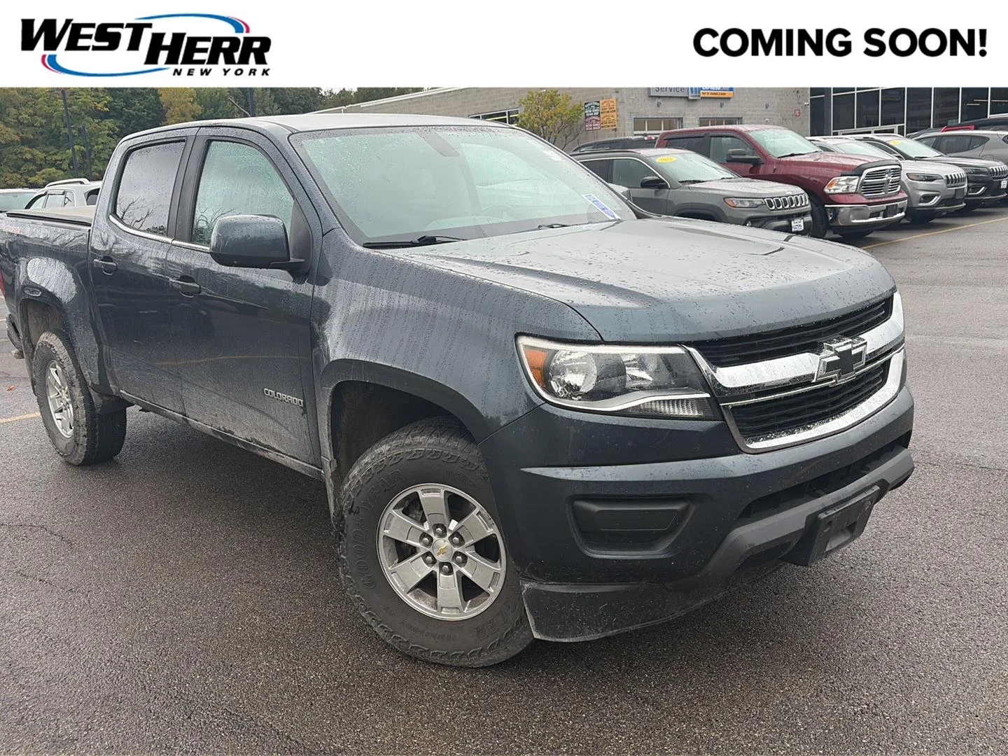 Used 2019 Shadow Gray Metallic Chevrolet 4WD Work Truck image 1