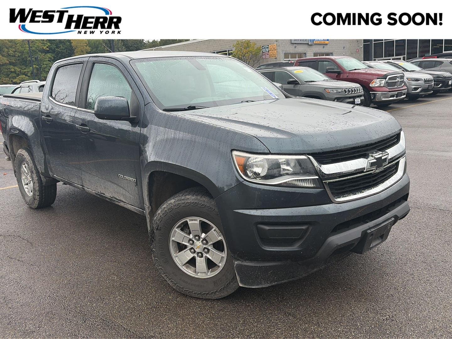 Used 2019 Shadow Gray Metallic Chevrolet 4WD Work Truck image 1