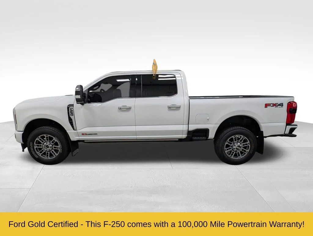 Used 2025 Star White Ford Platinum image 1