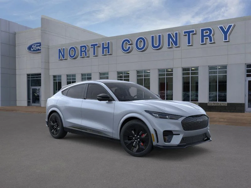 2025 Ford Mustang Mach-E GT - Photo 32
