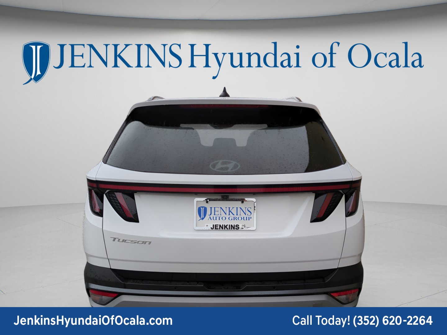 Used 2025 Serenity White Pearl Hyundai Limited image 4