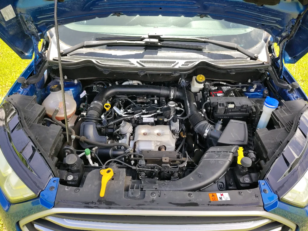 Used 2019 Lightning Blue Metallic Ford SE image 11