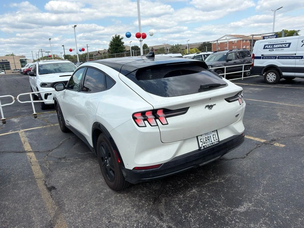 Used 2021 White Ford California Route 1 image 5