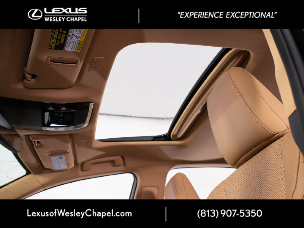 2026 Lexus NX 450h+ Premium - Photo 12