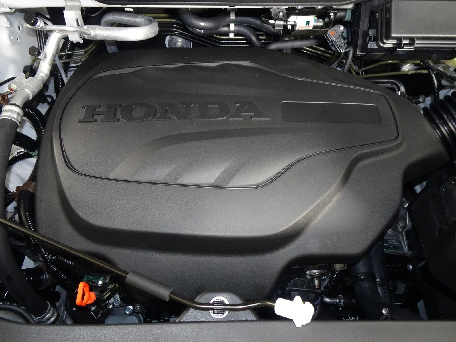 New 2026 Platinum White Pearl Honda RTL image 10
