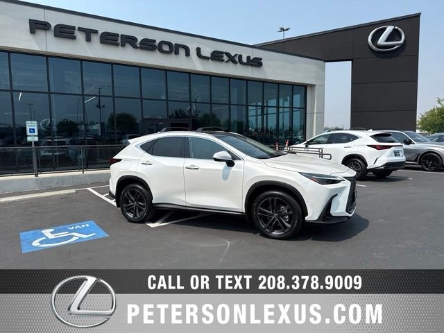 2025 Lexus NX