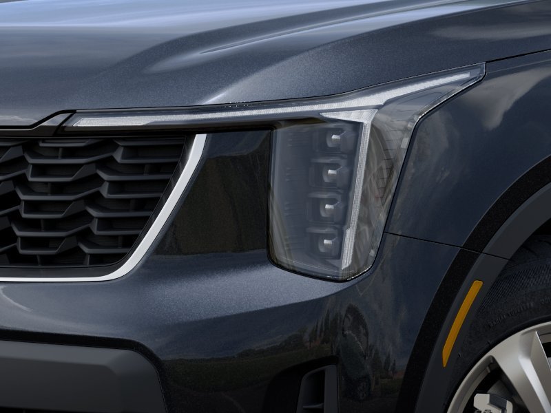 New 2026 Panthera Metal Kia LX image 10