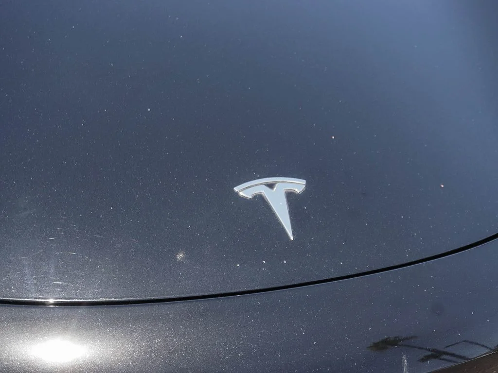 Used 2019 Black Tesla Standard Range Plus image 10