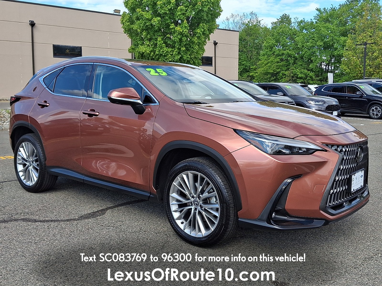 2025 Lexus NX 350 350 Premium AWD's photo