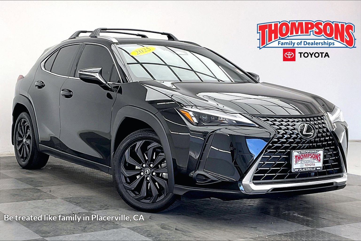 2025 Lexus UX 300h 300h's photo