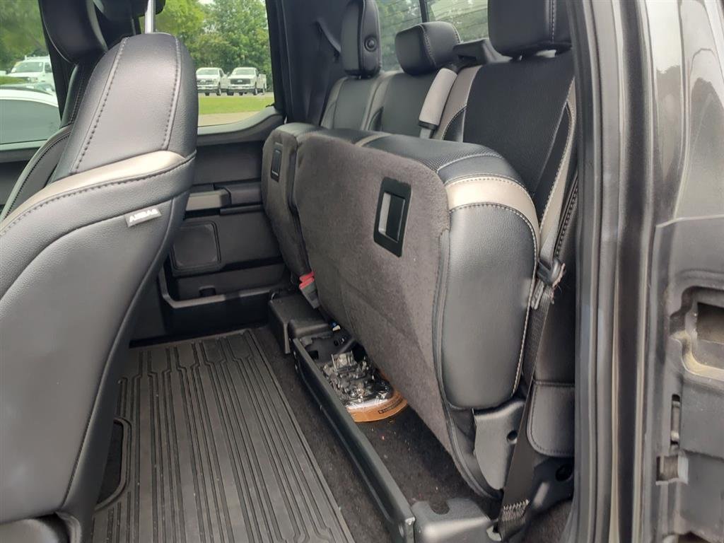 Used 2018 Magnetic Ford Raptor image 13