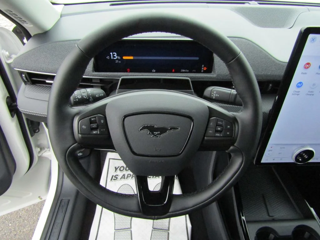 Used 2025 Star White Ford Premium image 20