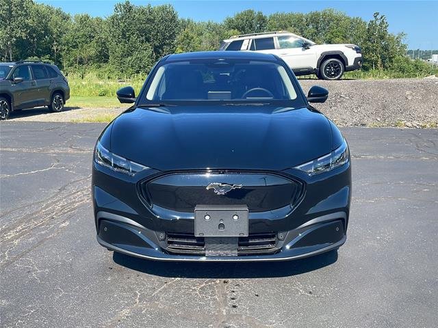 New 2026 Shadow Black Ford Premium image 40