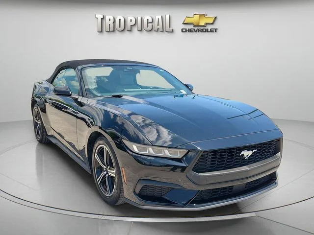 Used 2024 Black Ford EcoBoost image 7