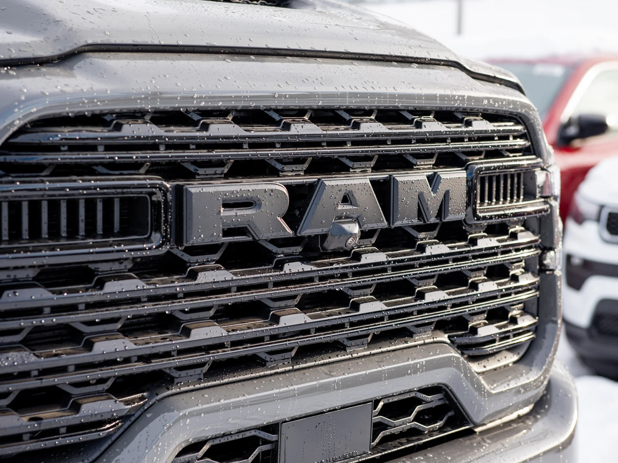 New 2026 Grey RAM Limited* image 12