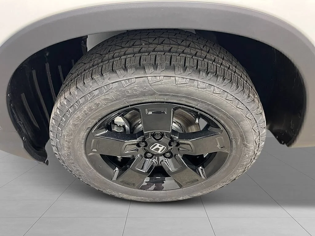 New 2026 Platinum White Pearl Honda Black Edition Two-Tone image 11