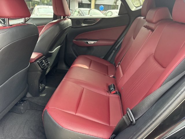 Certified Used 2025 CAVIAR Lexus 250 Base image 23