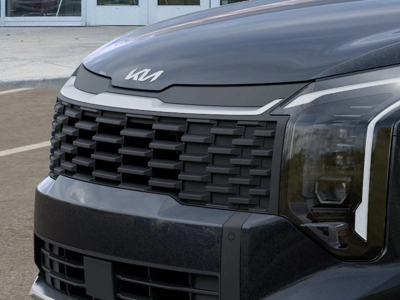 New 2026 Panthera Metal Kia LX image 12