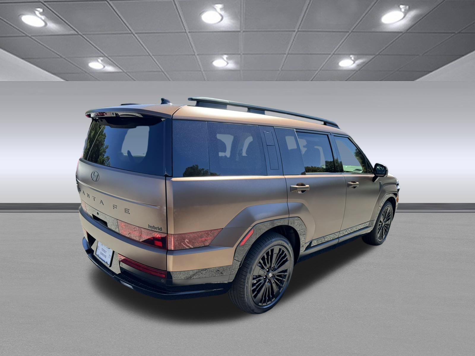 New 2026 Earthy Brass Matte Hyundai Calligraphy image 5