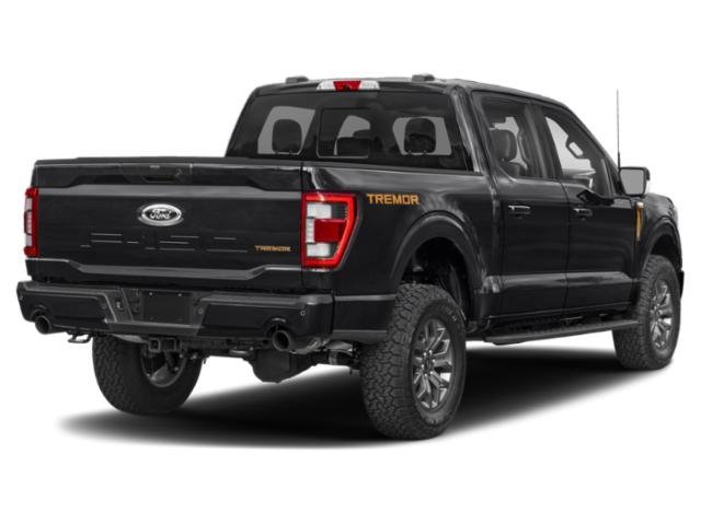 Used 2021 Stone Gray Ford  image 2
