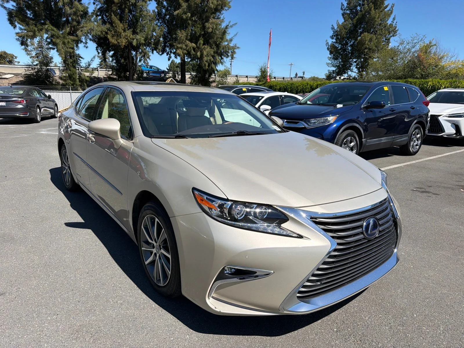 Used 2017 Satin Cashmere Metallic Lexus 300h image 1