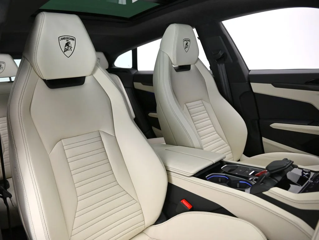 New 2026 Nero Nemesis Matt Lamborghini SE image 18