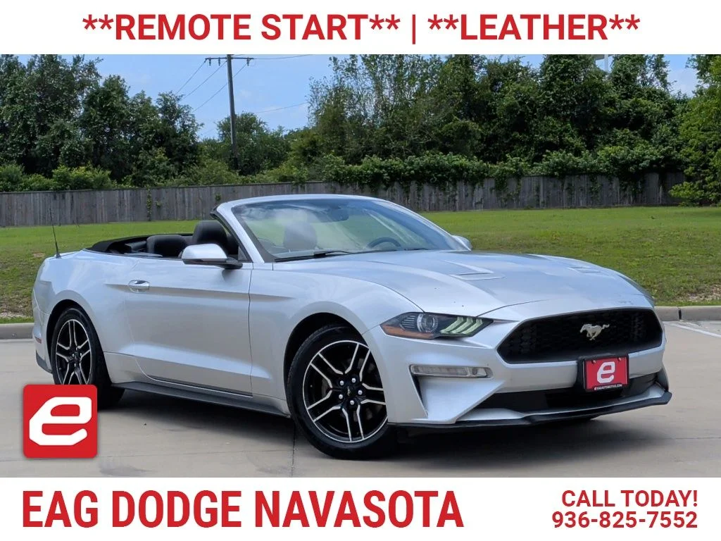 2019 Ford Mustang EcoBoost Convertible Premium's photo