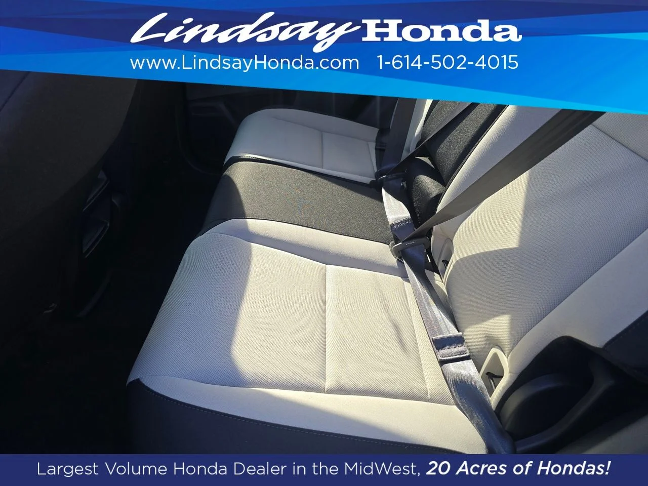 New 2026 Platinum White Pearl Honda LX image 3