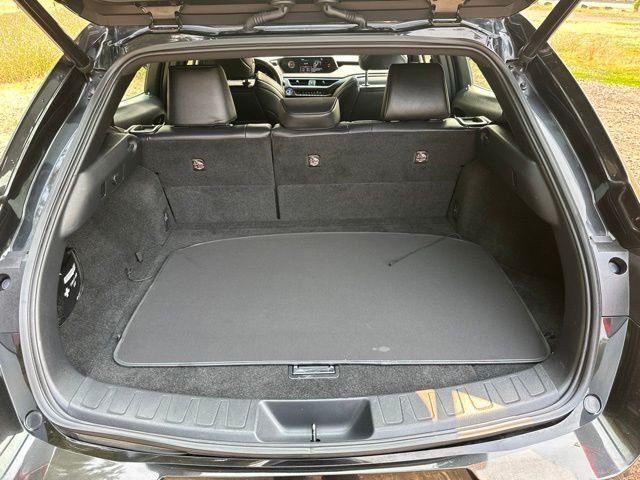 Used 2020 Caviar Lexus 250h F SPORT image 19