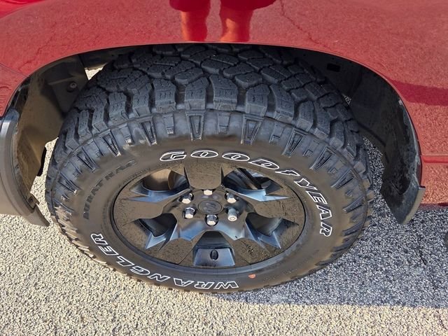 Used 2025 Red Ram Warlock image 18