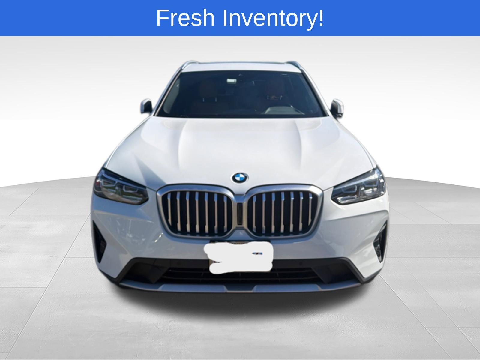 2023 BMW X3