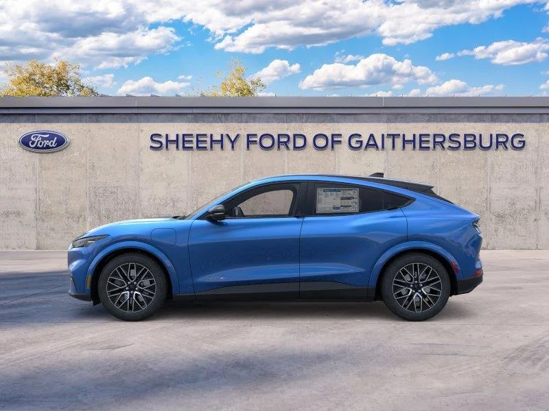 New 2026 Velocity Blue Metallic Ford Premium image 3
