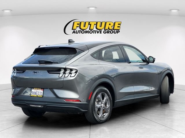 Used 2023 Gray Ford Select image 4