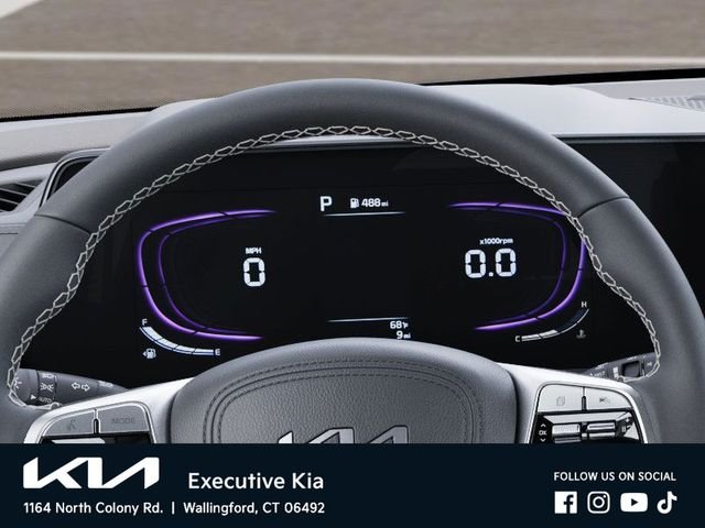 New 2025 Panthera Metal Kia LX image 21