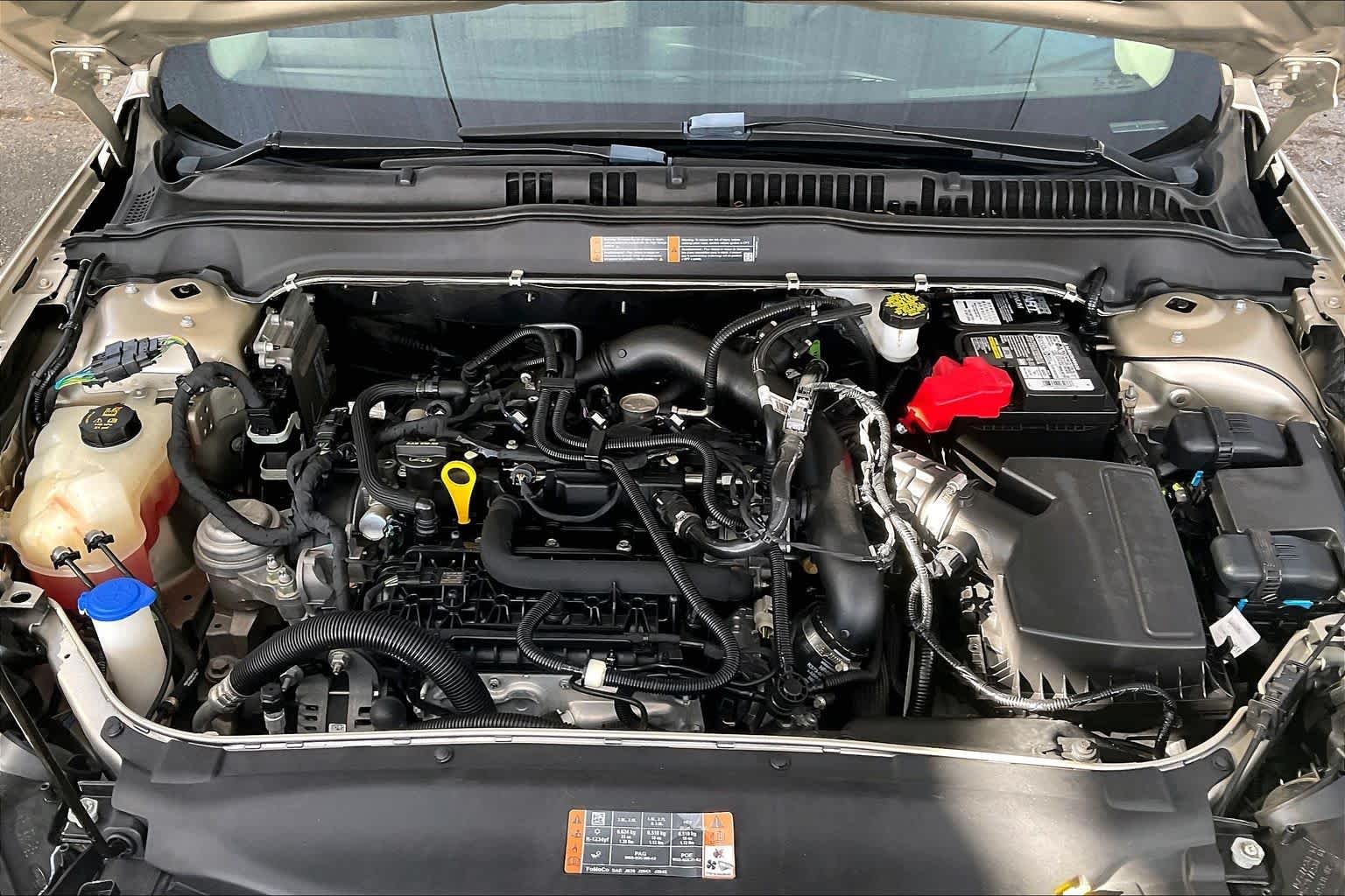 Used 2019 White Gold Metallic Ford SE image 32