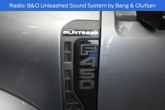 New 2025 Gray Ford Platinum image 11