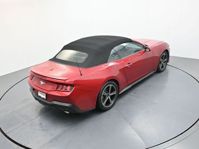 Used 2024 Red Ford EcoBoost Premium image 20