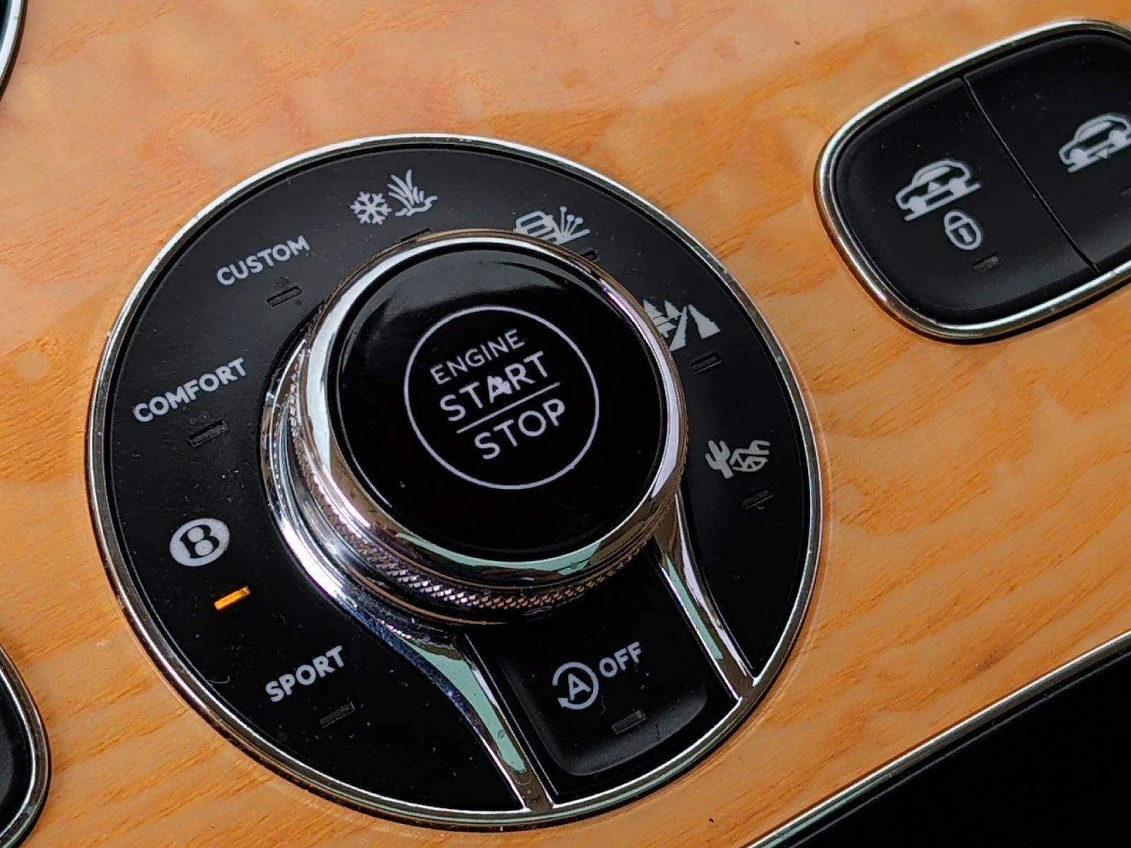 Used 2021 Apple Green Bentley Speed image 29
