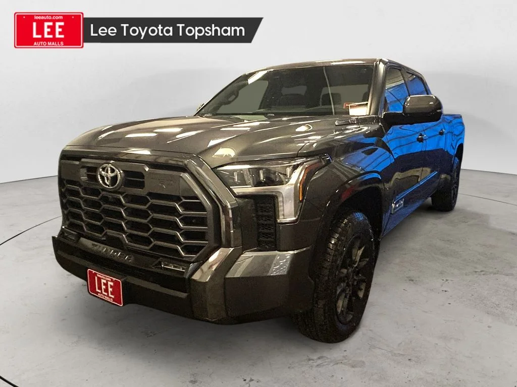New 2026 Magnetic Gray Metallic Toyota Platinum image 1