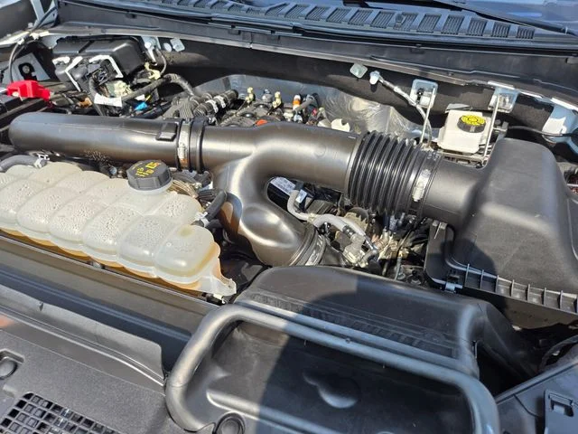 Used 2025 White Ford Active image 23