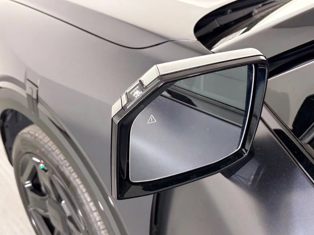 New 2027 Panthera Metal Matte Kia X-Line EX image 13