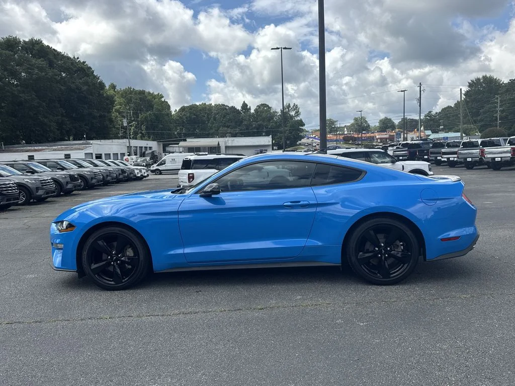 Used 2023 Blue Ford EcoBoost image 4